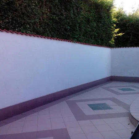 In - Balaton 18586 * Fonyod